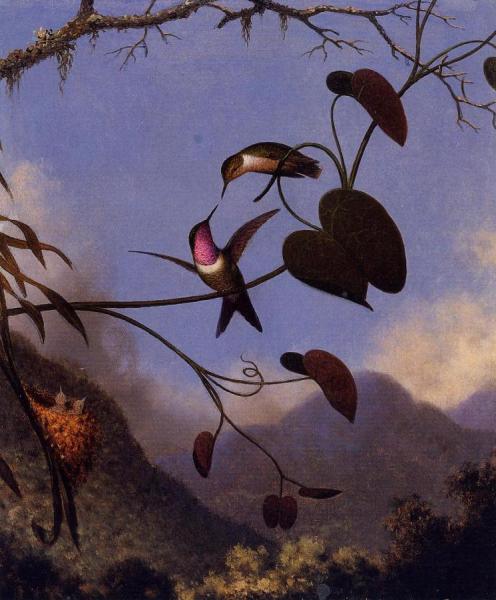 Amethyst Woodstar by Martin Johnson Heade