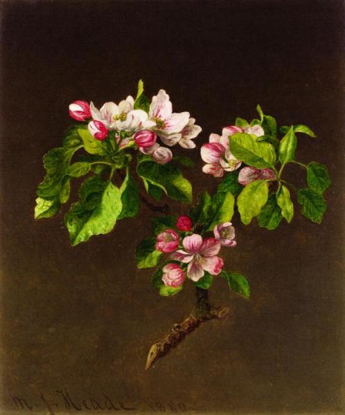 Apple Blossoms by Martin Johnson Heade