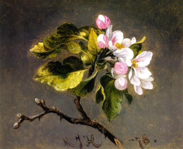 Apple Blossoms by Martin Johnson Heade