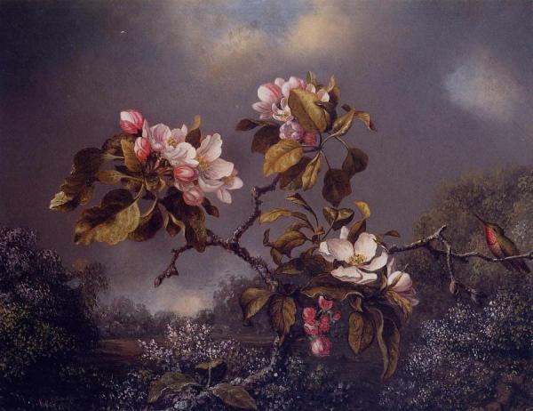 Apple Blossoms And Hummingbird by Martin Johnson Heade
