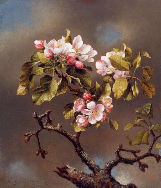 Branch Of Apple Blossoms Against A Cloudy Sky by Martin Johnson Heade Oil Painting Reproductions
