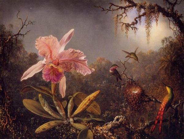 Martin Johnson Heade Cattleya Orchid And Three Brazilian Hummingbirds