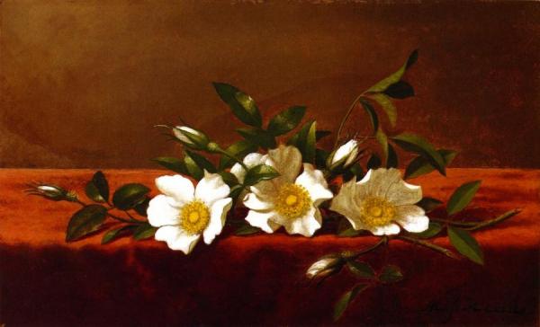 Cherokee Roses by Martin Johnson Heade