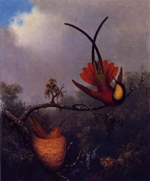 Crimson Topaz by Martin Johnson Heade Oil Painting Reproductions