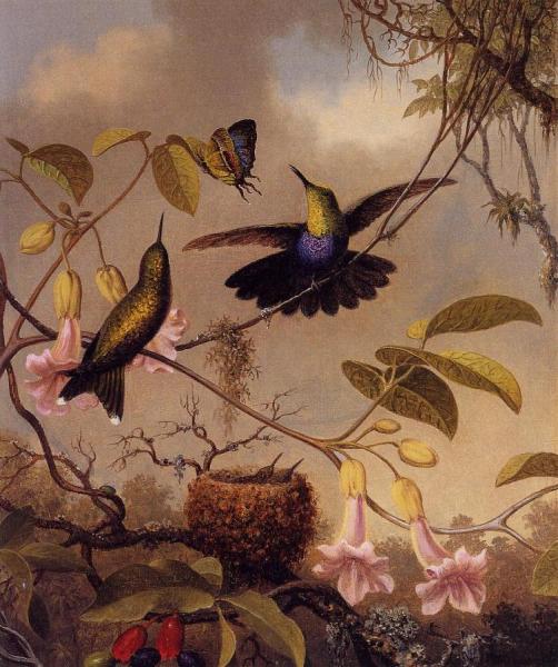 Fort-tailed Woodnymph by Martin Johnson Heade