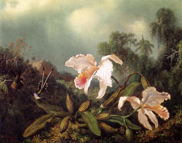 Jungle Orchids And Hummingbirds by Martin Johnson Heade