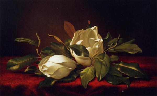 Magnoliae Grandeflorae by Martin Johnson Heade
