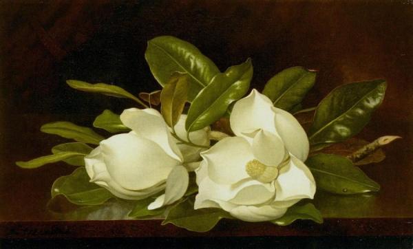 Magnolias On A Wooden Table by Martin Johnson Heade Oil Painting Reproductions