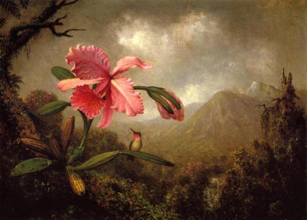 Orchid And Hummingbird Near A Mountain Waterfall by Martin Johnson Heade