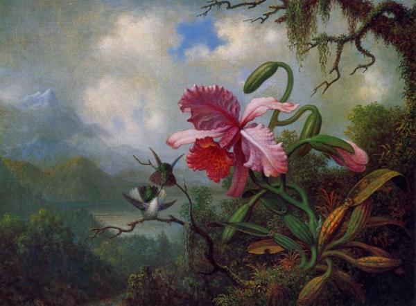 Martin Johnson Heade Orchid And Hummingbirds Near A Mountain Lake
