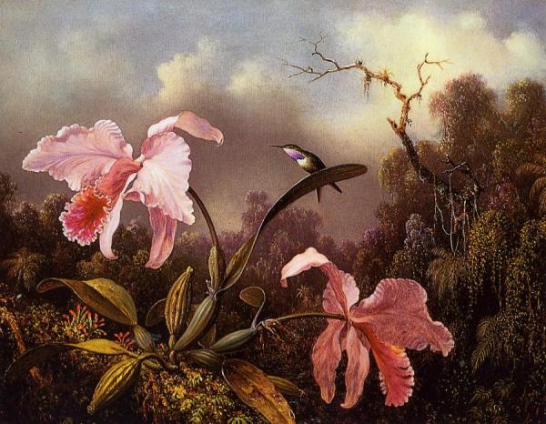 Orchids And Hummingbird by Martin Johnson Heade Oil Painting Reproductions