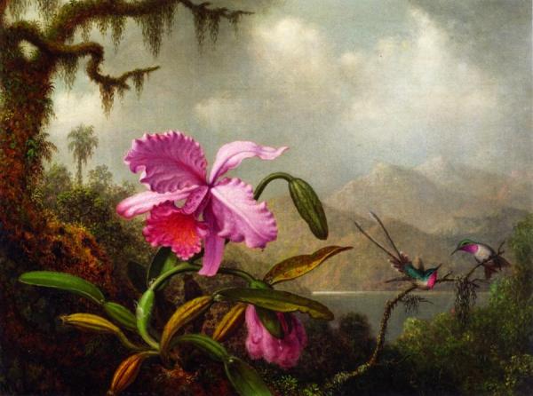 Orchids And Hummingbirds Near A Mountain Lake by Martin Johnson Heade