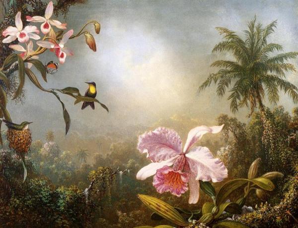 Orchids, Nesting Hummingbirds And A Butterfly by Martin Johnson Heade