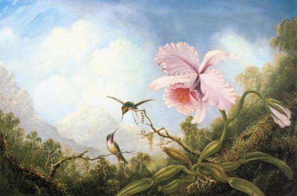 Two Hummingbirds And An Orchid by Martin Johnson Heade