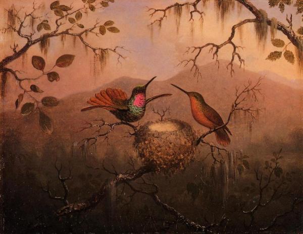 Two Hummingbirds At A Nest by Martin Johnson Heade Oil Painting Reproductions