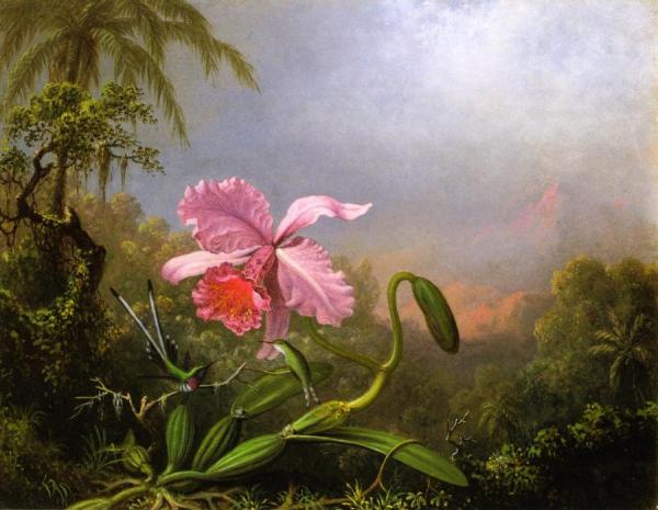 Two Hummingbirds By An Orchid by Martin Johnson Heade Oil Painting Reproductions