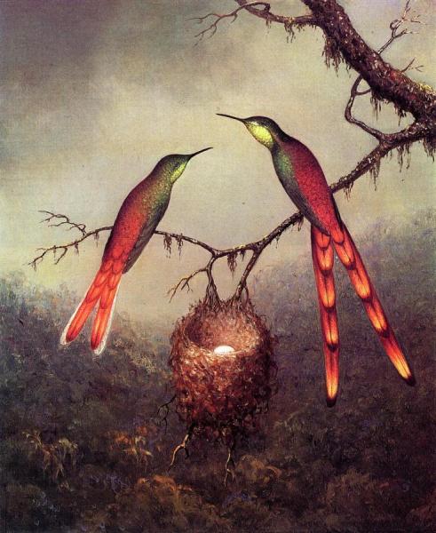 Martin Johnson Heade Two Hummingbirds Garding An Egg