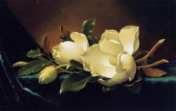 Two Magnolias And A Bud On Teal Velvet by Martin Johnson Heade