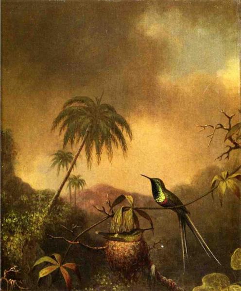 Two Thorn-tails by Martin Johnson Heade Oil Painting Reproductions