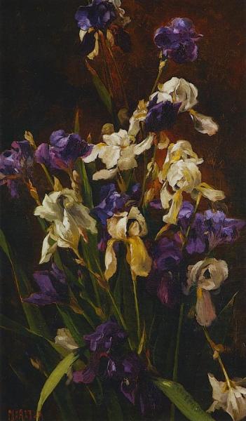 Irises by Mathias Joseph Alten