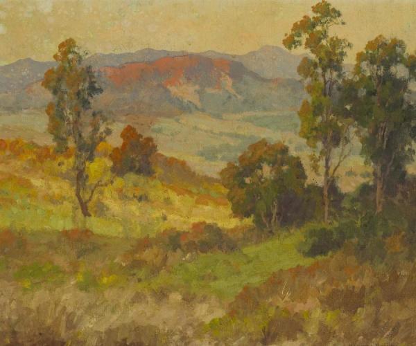 Eucalyptus by Maurice Braun