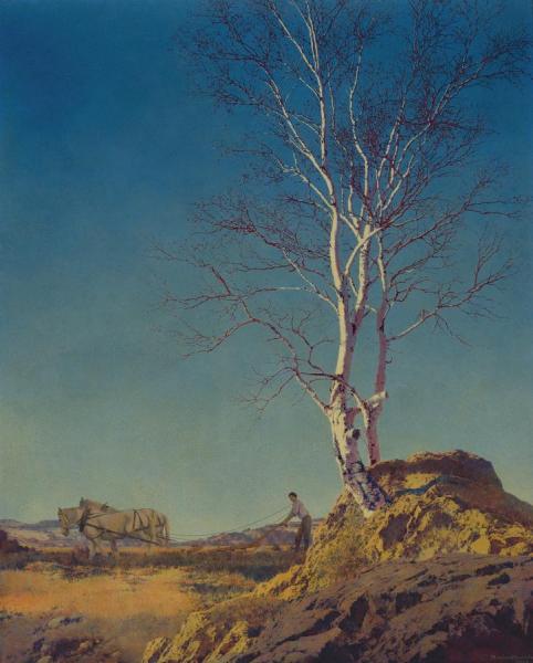White Birch by Maxfield Parrish