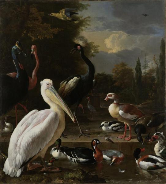 A Pelican And Other Birds Near A Pool, Known As The Floating Feather by Melchior De Hondecoetter