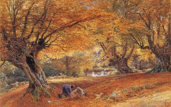 Burnham Beeches by Myles Birket Foster