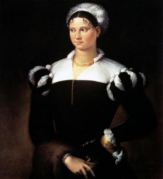 Portrait Of A Lady by Niccolo Dell' Abbate