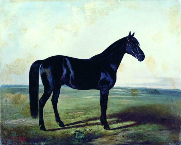 The Black Horse by Nicholai Egorovich Sverchkov Oil Painting Reproductions