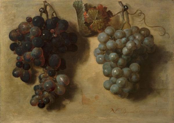 Nicolas De Largillierre Grapes