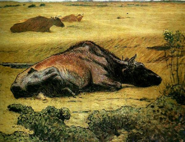 Cows In The Sun by Nils Kreuger