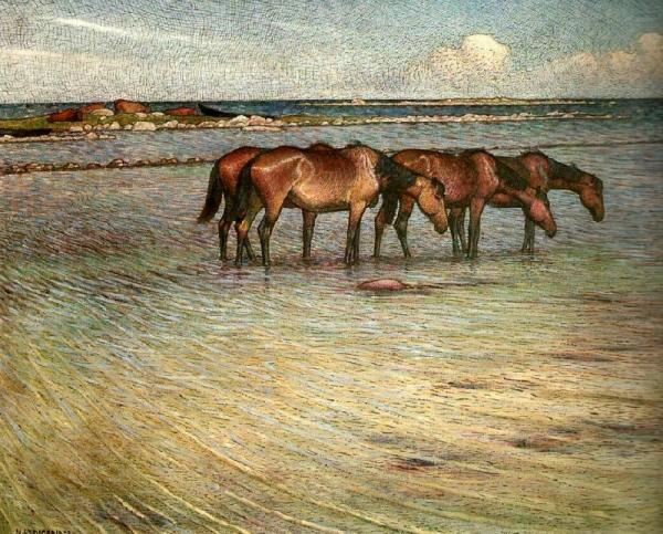 Nils Kreuger Horses Cooling