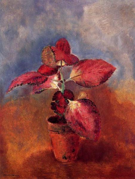 Begonia In A Pot by Odilon Redon