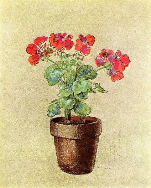 Geraniums by Odilon Redon
