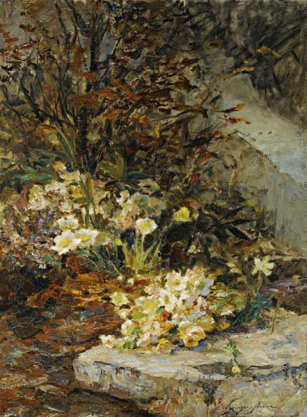 Schneerosen(hellebores) by Olga Wisinger-florian Oil Painting Reproductions