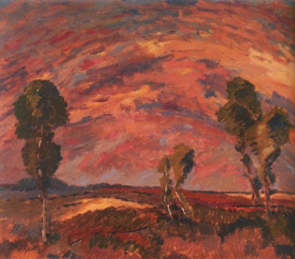 Otakar Nejedlý Trees And The Sky