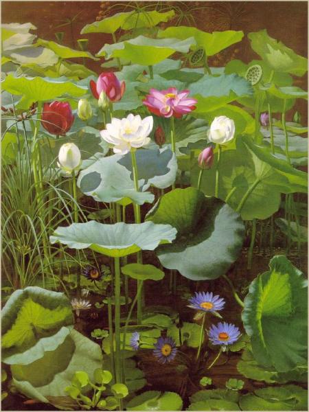 Otto Didrik Ottesen Lily Pond