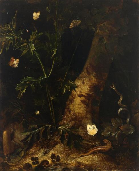 A Forest Floor Still Life With A Salamander, Snake And Various Butterflies Around A Thistle by Otto Van Schrieck