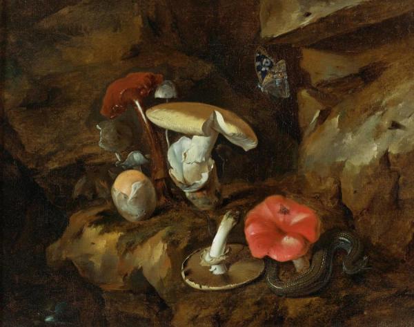 A Forest Floor Still Life With Mushrooms, A Snake And A Butterfly by Otto Van Schrieck