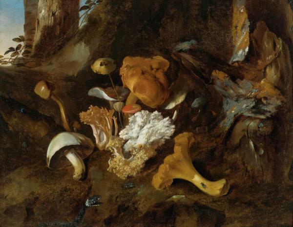 A Forest Floor Still Life With Mushrooms And A Snake by Otto Van Schrieck