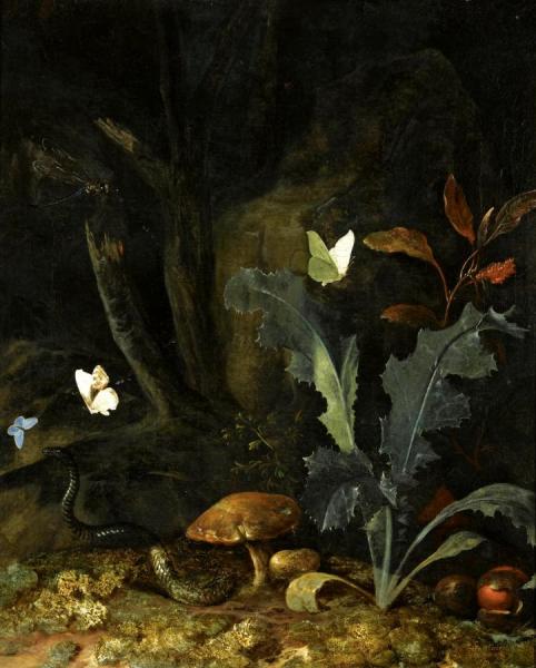 Nocturnal Forest Landscape With A Thistle, Chestnuts And Mushrooms by Otto Van Schrieck