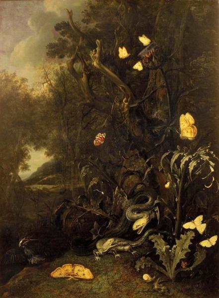 Plants And Insects by Otto Van Schrieck