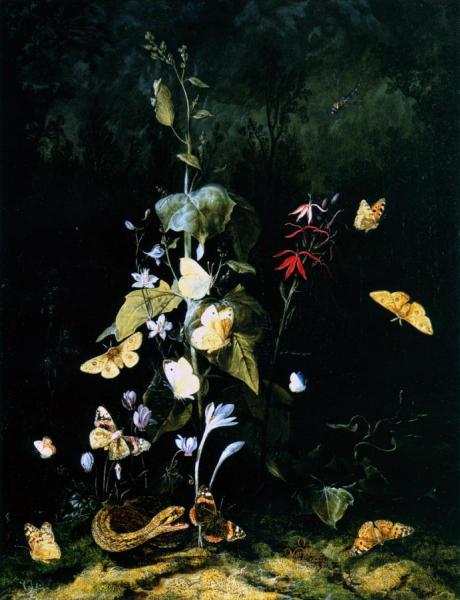 Plants, Frogs, Butterflies And A Snake On A Forest Ground by Otto Van Schrieck