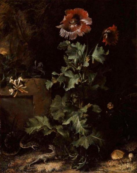 Still Life With Snake And Lizard by Otto Van Schrieck