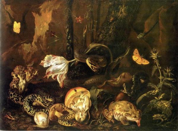 Still Life With Snakes, Frogs, Mushrooms, Flowers And Butterflies by Otto Van Schrieck