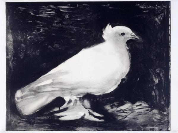 Dove,1949 by Pablo Picasso