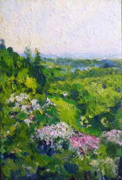 La Valle Di Rododendri by Paolo La Commare Oil Painting Reproductions