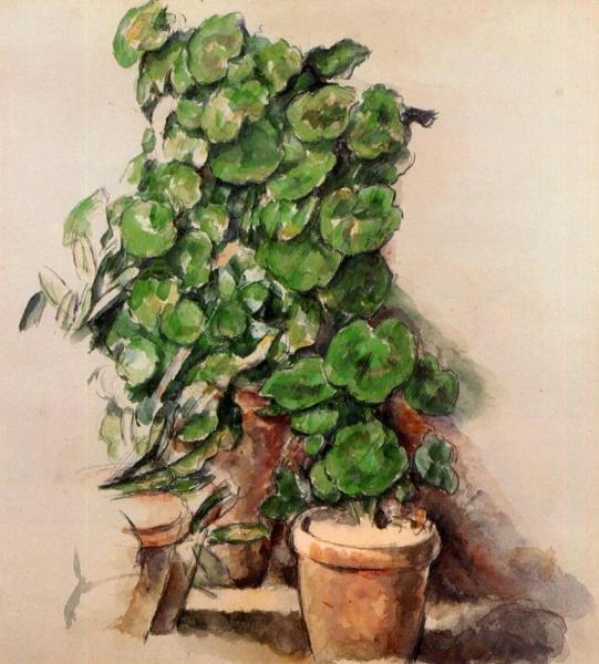 Pots Of Geraniums by Paul Cezanne