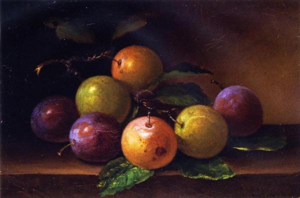 Paul Lacroix From The Garden